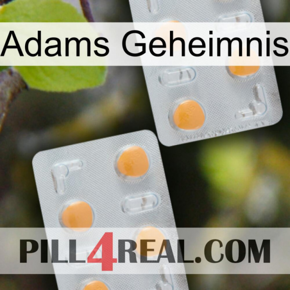 Adams Secret 25.jpg